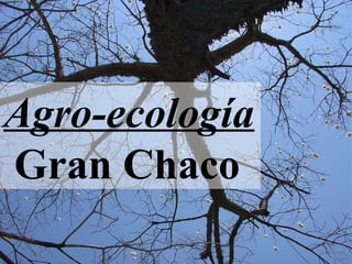 Agro-ecología
Gran Chaco
 