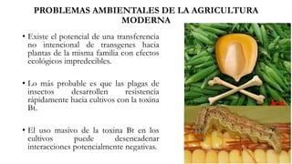 • Existe el potencial de una transferencia
no intencional de transgenes hacia
plantas de la misma familia con efectos
ecológicos impredecibles.
• Lo más probable es que las plagas de
insectos desarrollen resistencia
rápidamente hacia cultivos con la toxina
Bt.
• El uso masivo de la toxina Bt en los
cultivos puede desencadenar
interacciones potencialmente negativas.
PROBLEMAS AMBIENTALES DE LA AGRICULTURA
MODERNA
 