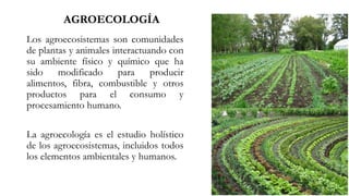 Los agroecosistemas son comunidades
de plantas y animales interactuando con
su ambiente físico y químico que ha
sido modificado para producir
alimentos, fibra, combustible y otros
productos para el consumo y
procesamiento humano.
La agroecología es el estudio holístico
de los agroecosistemas, incluidos todos
los elementos ambientales y humanos.
AGROECOLOGÍA
 
