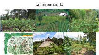 AGROECOLOGÍA
 