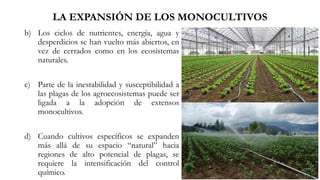 b) Los ciclos de nutrientes, energía, agua y
desperdicios se han vuelto más abiertos, en
vez de cerrados como en los ecosistemas
naturales.
c) Parte de la inestabilidad y susceptibilidad a
las plagas de los agroecosistemas puede ser
ligada a la adopción de extensos
monocultivos.
d) Cuando cultivos específicos se expanden
más allá de su espacio “natural” hacia
regiones de alto potencial de plagas, se
requiere la intensificación del control
químico.
LA EXPANSIÓN DE LOS MONOCULTIVOS
 