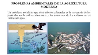Un problema cotidiano que tiene efectos colaterales es la trayectoria de los
pesticidas en la cadena alimenticia y los nutrientes de los cultivos en las
fuentes de agua.
PROBLEMAS AMBIENTALES DE LA AGRICULTURA
MODERNA
 