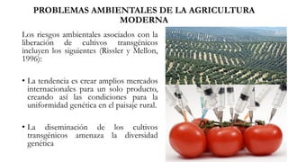 Los riesgos ambientales asociados con la
liberación de cultivos transgénicos
incluyen los siguientes (Rissler y Mellon,
1996):
• La tendencia es crear amplios mercados
internacionales para un solo producto,
creando así las condiciones para la
uniformidad genética en el paisaje rural.
• La diseminación de los cultivos
transgénicos amenaza la diversidad
genética
PROBLEMAS AMBIENTALES DE LA AGRICULTURA
MODERNA
 