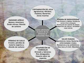 PÉRDIDAS DE SUELO
Erosión; pérdida de
materia orgánica y
dióxido de carbono
EMISIONES AÉREAS
Metano; Amoníaco;
Óxido nitroso; Dióxido
de carbono
CONTAMINACIÓN DEL AGUA
Agrotóxicos; Nitratos;
Fosfatos; Bacterias;
Zonas muertas
PÉRDIDA DE BIODIVERSIDAD
Vida Silvestre y hábitat; Pérdida de
cercos vivos y bosques;
Disminución de colonias de abejas;
Desaparición de cultivos, variedades y
razas nativas
DESAPARICIÓN DE
HUMEDALES
Drenado y labranza;
Ríos desaguados;
Impacto sobre las
especies
SALUD HUMANA
Agrotóxicos; Asma; Bacterias y
enfermedades virales;
Resistencia a los antibióticos;
Vaca loca y E.Coli; Obesidad
Costos adicionales
al precio de los
alimentos al
consumidor final
 
