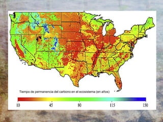 Tiempo de permanencia del carbono en el ecosistema (en años)
 