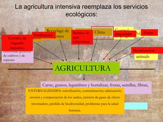 Diversidad genética
de cultivos y de
especies
La agricultura intensiva reemplaza los servicios
ecológicos:
AGRICULTURA
Suelos
Recyclage de
nutrientes
Agua Clima Control
de plagas
Polinización
Domestic
animals
Corrales de
engorde
intensivo
Fertilizantes
Bombeo de
agua
subterránea
plaguicidas Abejas
Mecanizacion
Carne, granos, legumbres y hortalizas, frutas, semillas, fibras,
combustibles
Paisajes agrarios, recreación, biodiversidad
Ecosistemas saludables
Paysages de monocultures
EXTERNALIDADES: eutrofización, contaminación; salinización;
erosión y compactación de los suelos, emisión de gases de efecto
invernadero, pérdida de biodiversidad, problemas para la salud
humana.
 