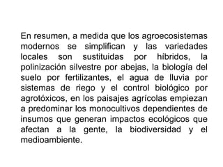 En resumen, a medida que los agroecosistemas
modernos se simplifican y las variedades
locales son sustituidas por híbridos, la
polinización silvestre por abejas, la biología del
suelo por fertilizantes, el agua de lluvia por
sistemas de riego y el control biológico por
agrotóxicos, en los paisajes agrícolas empiezan
a predominar los monocultivos dependientes de
insumos que generan impactos ecológicos que
afectan a la gente, la biodiversidad y el
medioambiente.
 
