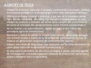 AGROECOLOGÍA
• Integra los procesos naturales y sociales, combinando la ecología política,
la economía ecológica y la etnoecología entre otras disciplinas hibridas;
• Utiliza un enfoque integral u holístico, y por eso se la considera desde
hace tiempo como una disciplina transversal o transdisciplina, ya que
integra los avances y métodos de varios otros campos del conocimiento
en torno al concepto del agroecosistema como sistema socioecológico;
• No es neutral y es auto-reflexiva, dando así lugar a una crítica del
paradigma agrícola convencional;
• Reconoce y valora la sabiduría y tradiciones locales, generando diálogos
con actores locales a través de la investigación participativa, lo cual se
traduce en generación constante de conocimientos nuevos;
• Adopta una visión de largo plazo que contrasta con la visión atomística de
corto plazo típica de la agronomía convencional; y
• Es una ciencia portadora de una ética ecológica y social, con una agenda
de investigación orientada a generar sistemas de producción socialmente
justos y benignos para la naturaleza.
 
