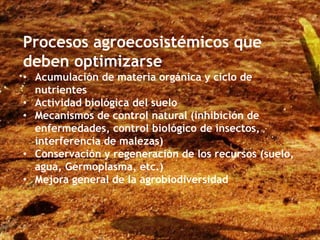 Procesos agroecosistémicos que
deben optimizarse
• Acumulación de materia orgánica y ciclo de
nutrientes
• Actividad biológica del suelo
• Mecanismos de control natural (inhibición de
enfermedades, control biológico de insectos,
interferencia de malezas)
• Conservación y regeneración de los recursos (suelo,
agua, Germoplasma, etc.)
• Mejora general de la agrobiodiversidad
 