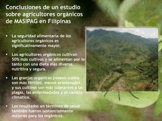 Conclusiones de un estudio
sobre agricultores orgánicos
de MASIPAG en Filipinas
 La seguridad alimentaria de los
agricultores orgánicos es
significativamente mayor.
 Los agricultores orgánicos cultivan
50% más cultivos y se alimentan por lo
tanto con una dieta más diversa,
nutritiva y segura.
 Las granjas orgánicas poseen suelos
son más fértiles, menos erosionados,
y sus cultivos son más tolerantes a las
plagas, las enfermedades y el cambio
climático.
 Los resultados en términos de salud
también fueron sustancialmente
mejores para los orgánicos.
 