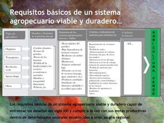 Los requisitos básicos de un sistema agropecuario viable y duradero capaz de
enfrentar los desafíos del siglo XXI y cumplir a la vez con sus metas productivas
dentro de determinados umbrales establecidos a nivel local o regional.
Requisitos básicos de un sistema
agropecuario viable y duradero…
Tipos de
agricultura
Desafíos y limitantes
de la próxima década
Requisitos de los
sistemas agropecuarios
nuevos y viables
A definirse
localmente
Criterios e indicadores de
umbrales para enfrentar los
Orgánica
Transgénica
Revolución
verde
Agroecología
Otras
-Cambio climático
-Escasez de
petróleo
-Precio de los
insumos
-Pérdida de la
biodiversidad y los
servicios
ecosistémicos
asociados
-Hambre e
inseguridad
alimentaria
-Pobreza, etc.
-Desacoplados del
petróleo
-Baja dependencia de
insumos externos
-Resilientes al cambio
climático
-Biodiversos
-Impacto ambiental
bajo
-Eficientes en el uso
de recursos (energía,
agua, nutrientes, etc.)
-Producen cantidades
abundantes de
alimentos saludables y
accesibles para todos
Requerimientos de escenarios
futuros
-Pérdida de suelos
-Almacenamiento de carbono
-Emisiones de gases de efecto
invernadero
-Eficiencia en el uso del agua
-Eficiencia en el uso de energía
(relación de insumos/producción)
-Pérdida de nutrientes por
lixiviación
-Diversidad genética
-Diversidad de especies
-Servicios del ecosistema,
polinización, control biológico,
fertilidad de los suelos, funciones
de las cuencas
-Residuos de agrotóxicos y
fertilizantes
-Otros
- XX…
A
G
R
I
C
U
L
T
U
R
A
V
E
R
D
E
 
