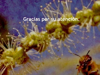 Gracias por su atención.
 