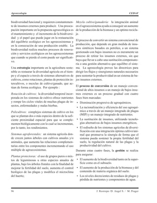 biodiversidad funcional y requieren constantemen-
te de insumos externos para producir. Una preocu-
pación importante en la propuesta agroecológica es
el mantenimiento y el incremento de la biodiversi-
dad y el papel que puede jugar en la restauración
del equilibrio ecológico en los agroecosistemas y
en la consecución de una producción estable. La
biodiversidad realiza muchos procesos de renova-
ción y servicios ecológicos en los agroecosistemas
que cuando se pierde el costo puede ser significati-
vo.
Una estrategia importante en la agricultura soste-
nible es restaurar la diversidad agrícola en el tiem-
po y el espacio a través de sistemas alternativos de
cultivos, como rotaciones, plantas de protección in-
tercultivos, o mezclas de cultivo/ganado, que ac-
túan de forma ecológica. Por ejemplo :
Rotación de cultivos: la diversidad temporal incor-
porada en los sistemas de cultivo ofrece nutrientes
y rompe los ciclos vitales de muchas plagas de in-
sectos, enfermedades y malas hierbas.
Policultivos: complejos sistemas de cultivo en los
que se plantan dos o más especies dentro de la sufi-
ciente proximidad espacial para que se comple-
menten biológicamente con lo cual se incrementan,
por lo tanto, los rendimientos.
Sistemas agroforestales: un sistema agrícola don-
de crecen juntos árboles con cultivos anuales y/o
animales, que aumenta las relaciones complemen-
tarias entre los componentes incrementando el uso
múltiple de agroecosistemas.
Plantas protectoras: el uso de grupos puros o mix-
tos de leguminosas u otras especies anuales de
plantas, bajo los árboles frutales con la finalidad de
mejorar la fertilidad del suelo, aumenta el control
biológico de las plagas y modifica el microclima
del huerto;
Mezcla cultivo/ganadería: la integración animal
en el agroecosistema ayuda a conseguir un aumento
de la producción de la biomasa y un optimo recicla-
je.
El proceso de convertir un sistema convencional de
producción, que depende en gran medida de insu-
mos sintéticos basados en petróleo, a un sistema
gestionado con bajos insumos no es meramente un
proceso de retirar los insumos externos, sin que
haya que llevar a cabo una sustitución compensato-
ria o una gestión alternativa que equilibre el siste-
ma. La agroecología provee las directrices para
dirigir los flujos y sinergismos naturales necesarios
para sustentar la productividad en un sistema de ba-
jos insumos externos.
El proceso de conversión de un manejo conven-
cional de altos insumos a un manejo de bajos insu-
mos externos es un proceso gradual con cuatro
fases bien marcadas:
• Disminución progresiva de agroquímicos.
• La racionalización y eficiencia del uso agroquí-
mico a través de un manejo integrado de plagas
(MIP) y un manejo integrado de nutrientes.
• La sustitución de insumos, utilizando tecnolo-
gías alternativas de bajos insumos energéticos.
• El rediseño de los sistemas agrícolas de diversi-
ficación con una integración óptima cultivo/ani-
mal que promueva la sinergía de forma que el
sistema pueda sostener la propia fertilidad del
suelo, la regulación natural de las plagas y la
productividad del cultivo.
Durante estas cuatro fases, la gestión se realiza
para asegurar:
• El aumento de la biodiversidad tanto en la super-
ficie como en el subsuelo.
• El aumento de la producción de la biomasa y del
contenido de materia orgánica del suelo.
• Los niveles decrecientes de residuos de plagas y
pérdida de nutrientes y componentes de agua.
96 J. Restrepo /D. Angel S. / M. Prager
Agroecología CEDAF
 
