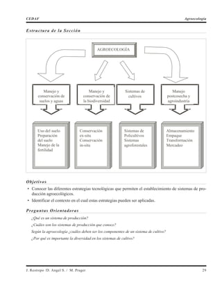 Estructura de la Sección
Objetivos
• Conocer las diferentes estrategias tecnológicas que permiten el establecimiento de sistemas de pro-
ducción agroecológicos.
• Identificar el contexto en el cual estas estrategias pueden ser aplicadas.
Preguntas Orientadoras
¿Qué es un sistema de producción?
¿Cuáles son los sistemas de producción que conoce?
Según la agroecología ¿cuáles deben ser los componentes de un sistema de cultivo?
¿Por qué es importante la diversidad en los sistemas de cultivo?
J. Restrepo /D. Angel S. / M. Prager 29
CEDAF Agroecología
AGROECOLOGÍA
Manejo y
conservación de
suelos y aguas
Manejo y
conservación de
la biodiversidad
Sistemas de
cultivos
Manejo
postcosecha y
agroindustria
Uso del suelo
Preparación
del suelo
Manejo de la
fertilidad
Conservación
ex-situ
Conservación
in-situ
Sistemas de
Policultivos
Sistemas
agroforestales
Almacenamiento
Empaque
Transformación
Mercadeo
 