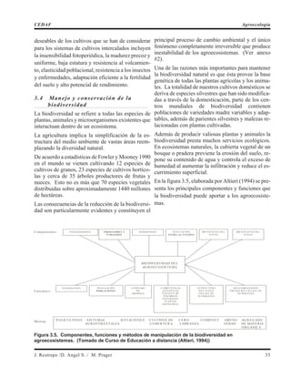 deseables de los cultivos que se han de considerar
para los sistemas de cultivos intercalados incluyen
la insensibilidad fotoperiódica, la madurez precoz y
uniforme, baja estatura y resistencia al volcamien-
to, elasticidad poblacional, resistencia a los insectos
y enfermedades, adaptación eficiente a la fertilidad
del suelo y alto potencial de rendimiento.
3.4 Manejo y conservación de la
biodiversidad
La biodiversidad se refiere a todas las especies de
plantas, animales y microorganismos existentes que
interactuan dentro de un ecosistema.
La agricultura implica la simplificación de la es-
tructura del medio ambiente de vastas áreas reem-
plazando la diversidad natural.
De acuerdo a estadísticas de Fowler y Mooney 1990
en el mundo se vienen cultivando 12 especies de
cultivos de granos, 23 especies de cultivos hortíco-
las y cerca de 35 árboles productores de frutas y
nueces. Esto no es más que 70 especies vegetales
distribuidas sobre aproximadamente 1440 millones
de hectáreas.
Las consecuencias de la reducción de la biodiversi-
dad son particularmente evidentes y constituyen el
principal proceso de cambio ambiental y el único
fenómeno completamente irreversible que produce
inestabilidad de los agroecosistemas. (Ver anexo
#2).
Una de las razones más importantes para mantener
la biodiversidad natural es que ésta provee la base
genética de todas las plantas agrícolas y los anima-
les. La totalidad de nuestros cultivos domésticos se
deriva de especies silvestres que han sido modifica-
das a través de la domesticación, parte de los cen-
tros mundiales de biodiversidad contienen
poblaciones de variedades madre variables y adap-
tables, además de parientes silvestres y malezas re-
lacionadas con plantas cultivadas.
Además de producir valiosas plantas y animales la
biodiversidad presta muchos servicios ecológicos.
En ecosistemas naturales, la cubierta vegetal de un
bosque o pradera previene la erosión del suelo, re-
pone su contenido de agua y controla el exceso de
humedad al aumentar la infiltración y reduce el es-
currimiento superficial.
En la figura 3.5, elaborada por Altieri (1994) se pre-
senta los principales componentes y funciones que
la biodiversidad puede aportar a los agroecosiste-
mas.
J. Restrepo /D. Angel S. / M. Prager 35
CEDAF Agroecología
C om pone nte s
Funcione s
Ma ne jo
P O LINIZADO R E S P REDATORES Y
P ARAS ITOS
HE R BIVO R O S VE G E TAC IO N
EXTRA AL CULTIVO
ME S O FAUNA DE L
S UE LO
MIC R O FAUNA DE L
S UE LO
BIO DIVE R S IDAD DE L
AG R O E C O S IS TE MA
P O LINIZAC IO N R E G ULAC IO N
P OB LACIONES
C O NS UMO
DE
BIO MAS A
C O MP E TE NC IA
ALE LO P ATIA
FUE NTE S DE
E NE MIG O S
NATUR ALE S
P LANTAS
S ILVE S TR E S
E S TR UC TUR A
DE L S UE LO
C IC LAJ E DE
NUTR IE NTE S
DE S C O MP O S IC IO N
P R E DAC IO N C IC LAJ E DE
NUTR IE NTE S
P O LIC ULTIVO S S IS TE MAS R O TAC IO NE S C ULTIVO S DE C E R O C O MP O S T ABO NO AG R E G ADO
AG R O FO R E S TALE S C O BE R TUR A LABR ANZA VE R DE DE MATE R IA
O R G ANIC A
Figura 3.5. Componentes, funciones y métodos de manipulación de la biodiversidad en
agroecosistemas. (Tomado de Curso de Educación a distancia (Altieri, 1994))
 