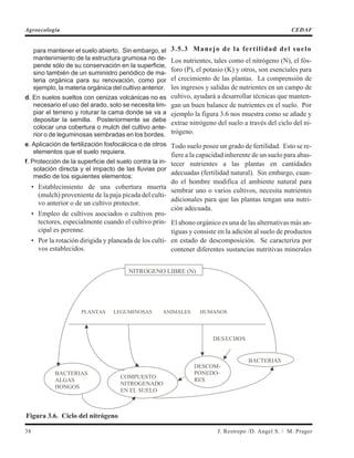 para mantener el suelo abierto. Sin embargo, el
mantenimiento de la estructura grumosa no de-
pende sólo de su conservación en la superficie,
sino también de un suministro periódico de ma-
teria orgánica para su renovación, como por
ejemplo, la materia orgánica del cultivo anterior.
d. En suelos sueltos con cenizas volcánicas no es
necesario el uso del arado, solo se necesita lim-
piar el terreno y roturar la cama donde se va a
depositar la semilla. Posteriormente se debe
colocar una cobertura o mulch del cultivo ante-
rior o de leguminosas sembradas en los bordes.
e. Aplicación de fertilización fosfocálcica o de otros
elementos que el suelo requiera.
f. Protección de la superficie del suelo contra la in-
solación directa y el impacto de las lluvias por
medio de los siguientes elementos:
• Establecimiento de una cobertura muerta
(mulch) proveniente de la paja picada del culti-
vo anterior o de un cultivo protector.
• Empleo de cultivos asociados o cultivos pro-
tectores, especialmente cuando el cultivo prin-
cipal es perenne.
• Por la rotación dirigida y planeada de los culti-
vos establecidos.
3.5.3 Manejo de la fertilidad del suelo
Los nutrientes, tales como el nitrógeno (N), el fós-
foro (P), el potasio (K) y otros, son esenciales para
el crecimiento de las plantas. La comprensión de
los ingresos y salidas de nutrientes en un campo de
cultivo, ayudará a desarrollar técnicas que manten-
gan un buen balance de nutrientes en el suelo. Por
ejemplo la figura 3.6 nos muestra como se añade y
extrae nitrógeno del suelo a través del ciclo del ni-
trógeno.
Todo suelo posee un grado de fertilidad. Esto se re-
fiere a la capacidad inherente de un suelo para abas-
tecer nutrientes a las plantas en cantidades
adecuadas (fertilidad natural). Sin embargo, cuan-
do el hombre modifica el ambiente natural para
sembrar uno o varios cultivos, necesita nutrientes
adicionales para que las plantas tengan una nutri-
ción adecuada.
El abono orgánico es una de las alternativas más an-
tiguas y consiste en la adición al suelo de productos
en estado de descomposición. Se caracteriza por
contener diferentes sustancias nutritivas minerales
38 J. Restrepo /D. Angel S. / M. Prager
Agroecología CEDAF
NITROGENO LIBRE (N)
BACTERIAS
ALGAS
HONGOS
COMPUESTO
NITROGENADO
EN EL SUELO
DESCOM-
PONEDO-
RES
BACTERIAS
PLANTAS LEGUMINOSAS ANIMALES HUMANOS
DESECHOS
Figura 3.6. Ciclo del nitrógeno
 