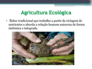 Agricultura Ecológica
• Saber tradicional que trabalha a partir da ciclagem de
nutrientes e aborda a relação homem-natureza de forma
sistêmica e integrada.
 