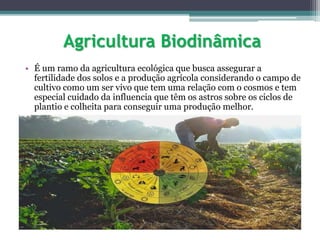 Agricultura Biodinâmica
• É um ramo da agricultura ecológica que busca assegurar a
fertilidade dos solos e a produção agrícola considerando o campo de
cultivo como um ser vivo que tem uma relação com o cosmos e tem
especial cuidado da influencia que têm os astros sobre os ciclos de
plantio e colheita para conseguir uma produção melhor.
 