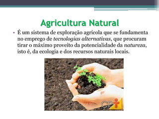 Agricultura Natural
• É um sistema de exploração agrícola que se fundamenta
no emprego de tecnologias alternativas, que procuram
tirar o máximo proveito da potencialidade da natureza,
isto é, da ecologia e dos recursos naturais locais.
 