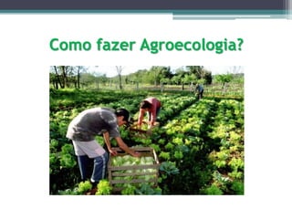 Como fazer Agroecologia?
 