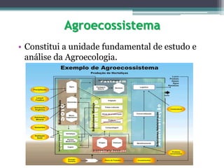 Agroecossistema
• Constitui a unidade fundamental de estudo e
análise da Agroecologia.
 