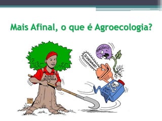 Mais Afinal, o que é Agroecologia?
 