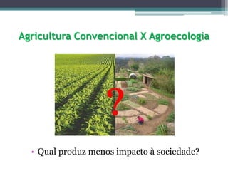Agricultura Convencional X Agroecologia
• Qual produz menos impacto à sociedade?
 