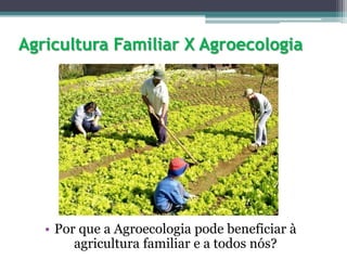 Agricultura Familiar X Agroecologia
• Por que a Agroecologia pode beneficiar à
agricultura familiar e a todos nós?
 