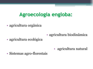 Agroecologia engloba:
• agricultura orgânica
• agricultura biodinâmica
• agricultura ecológica
• agricultura natural
• Sistemas agro-florestais
 