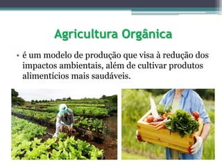 Agricultura Orgânica
• é um modelo de produção que visa à redução dos
impactos ambientais, além de cultivar produtos
alimentícios mais saudáveis.
 