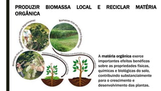 PRODUZIR BIOMASSA LOCAL E RECICLAR MATÉRIA
ORGÂNICA
A matéria orgânica exerce
importantes efeitos benéficos
sobre as propriedades físicas,
químicas e biológicas do solo,
contribuindo substancialmente
para o crescimento e
desenvolvimento das plantas.
 