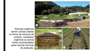 Sistemas orgânicos
devem utilizar adubos
na forma de estercos de
animais, compostos
orgânicos ou outras
fontes recomendadas
pelas normas técnicas
de produção.
 
