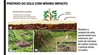 PREPARO DO SOLO COM MÍNIMO IMPACTO
Realizar o
preparo de solo,
preservando sua
estrutura, por
meio de técnicas
de cultivo mínimo
e plantio direto
na palha.
 