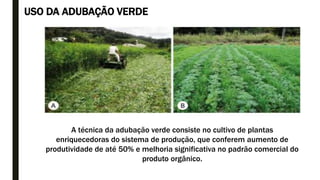 USO DA ADUBAÇÃO VERDE
A técnica da adubação verde consiste no cultivo de plantas
enriquecedoras do sistema de produção, que conferem aumento de
produtividade de até 50% e melhoria significativa no padrão comercial do
produto orgânico.
 