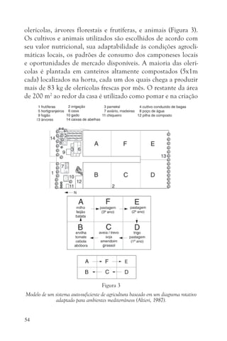 olerícolas, árvores florestais e frutíferas, e animais (Figura 3).
Os cultivos e animais utilizados são escolhidos de acordo com
seu valor nutricional, sua adaptabilidade às condições agrocli-
máticas locais, os padrões de consumo dos camponeses locais
e oportunidades de mercado disponíveis. A maioria das olerí-
colas é plantada em canteiros altamente compostados (5x1m
cada) localizados na horta, cada um dos quais chega a produzir
mais de 83 kg de olerícolas frescas por mês. O restante da área
de 200 m2 ao redor da casa é utilizado como pomar e na criação




                                    Figura 3
Modelo de um sistema auto-suficiente de agricultura baseado em um diagrama rotativo
             adaptado para ambientes mediterrâneos (Altieri, 1987).


54
 