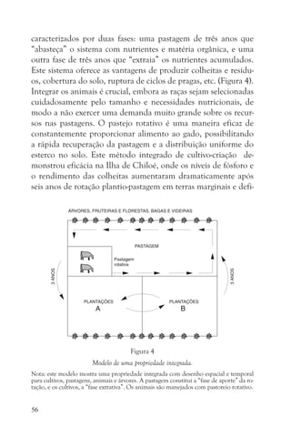 caracterizados por duas fases: uma pastagem de três anos que
“abasteça” o sistema com nutrientes e matéria orgânica, e uma
outra fase de três anos que “extraia” os nutrientes acumulados.
Este sistema oferece as vantagens de produzir colheitas e resídu-
os, cobertura do solo, ruptura de ciclos de pragas, etc. (Figura 4).
Integrar os animais é crucial, embora as raças sejam selecionadas
cuidadosamente pelo tamanho e necessidades nutricionais, de
modo a não exercer uma demanda muito grande sobre os recur-
sos nas pastagens. O pastejo rotativo é uma maneira eficaz de
constantemente proporcionar alimento ao gado, possibilitando
a rápida recuperação da pastagem e a distribuição uniforme do
esterco no solo. Este método integrado de cultivo-criação de-
monstrou eficácia na Ilha de Chiloé, onde os níveis de fósforo e
o rendimento das colheitas aumentaram dramaticamente após
seis anos de rotação plantio-pastagem em terras marginais e defi-




                                        Figura 4
                        Modelo de uma propriedade integrada.
Nota: este modelo mostra uma propriedade integrada com desenho espacial e temporal
para cultivos, pastagens, animais e árvores. A pastagem constitui a “fase de aporte” da ro-
tação, e os cultivos, a “fase extrativa”. Os animais são manejados com pastoreio rotativo.


56
 