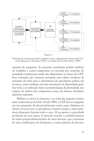 Figura 2
Estratégia de conservação genética popular in situ, adaptada para batatas pelo Cen-
   tro de Educación y Tecnologia (CET), em Chiloé, Sul do Chile (Altieri, 1991).

cipantes do programa. As sementes excedentes podem também
ser vendidas a outros camponeses ou trocadas por sementes de
variedades tradicionais ainda não disponíveis no banco do CET.
Essa estratégia não somente permitirá uma oferta contínua de
sementes de valor para a subsistência de agricultores pobres em
recursos, como também será um repositório de diversidade gené-
tica vital, a ser utilizado tanto na reintrodução da diversidade nos
campos de cultivo dos camponeses como em futuras atividades
agrícolas regionais.
     Melhora na oferta de alimentos e na renda das pequenas proprie-
dades mediterrâneas do Chile. Desde 1980, o CET tem se engajado
em um programa de desenvolvimento rural, cujos objetivos in-
cluem: a) assessorar os agricultores visando atingir a auto-sufici-
ência alimentar durante todo o ano; b) recuperar a capacidade
produtiva de suas terras. O método envolve o estabelecimento
de várias propriedades-modelo de meio hectare, que consistem
de uma combinação de forrageiras e outras plantas de lavoura,


                                                                                 53
 