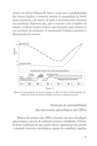cientes em fósforo (Figura 5). Após o sexto ano, a produtividade
das batatas duplica, e somente metade da quantidade de fertili-
zantes químicos e de esterco de gado é necessária para sustentar
essa produção. Espera-se que, após o terceiro ciclo completo de
rotação, nenhum insumo externo seja necessário para manter ní-
veis aceitáveis de produção. A estruturação biológica garantirá o
desempenho do sistema.




                                    Figura 5
 Efeitos de uma etapa de seis anos de rotação na Ilha de Chiloé, Chile (medidos em
         termos dos níveis crescentes de fósforo, primeira e segunda rotações).



                                     Avaliação da sustentabilidade
                         das intervenções agroecológicas das ONGs

    Muitos dos projetos das ONGs, baseados em uma abordagem
agroecológica, carecem de avaliações formais e detalhadas. Todavia,
há fortes evidências de que muitas dessas organizações têm gerado
e adaptado inovações tecnológicas capazes de contribuir, significa-

                                                                                 57
 