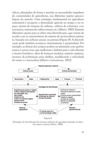 cíficos, planejados de forma a atender as necessidades singulares
de comunidades de agricultores, nas diferentes regiões agroeco-
lógicas do mundo. Uma estratégia fundamental na agricultura
sustentável é recuperar a diversidade agrícola no tempo e no es-
paço, através de rotações de culturas, cultivos de cobertura, con-
sorciações, sistemas de cultivo-criação etc. (Altieri, 1987). Existem
diferentes opções para se obter uma diversificação, que variam de
acordo com as características do sistema de monocultura existen-
te, baseado em culturas anuais ou perenes (Figura 8). A diversifi-
cação pode também acontecer externamente à propriedade. Por
exemplo, as divisas dos campos podem ser plantadas com quebra-
ventos e cercas vivas, que melhoram o habitat para a vida silvestre
e insetos benéficos, além de fornecer madeira, matéria orgânica,
recursos de polinização para abelhas, modificando a velocidade
do vento e o microclima (Altieri e Letourneau, 1982).




                                     Figura 8
Estratégias de diversificação dos sistemas modernos de agricultura baseados em plan-
                         tios anuais e perenes (Altieri, 1994).


                                                                                  67
 