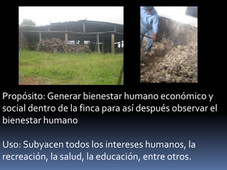 Propósito: Generar bienestar humano económico y
social dentro de la finca para así después observar el
bienestar humano
Uso: Subyacen todos los intereses humanos, la
recreación, la salud, la educación, entre otros.
 