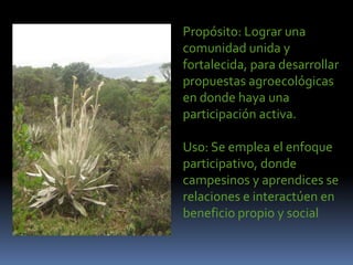 Propósito: Lograr una
comunidad unida y
fortalecida, para desarrollar
propuestas agroecológicas
en donde haya una
participación activa.
Uso: Se emplea el enfoque
participativo, donde
campesinos y aprendices se
relaciones e interactúen en
beneficio propio y social
 
