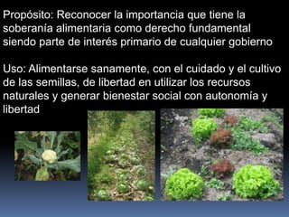 Propósito: Reconocer la importancia que tiene la
soberanía alimentaria como derecho fundamental
siendo parte de interés primario de cualquier gobierno
Uso: Alimentarse sanamente, con el cuidado y el cultivo
de las semillas, de libertad en utilizar los recursos
naturales y generar bienestar social con autonomía y
libertad
 