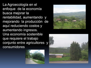 La Agroecología en el
enfoque de la economía
busca mejorar la
rentabilidad, aumentando y
mejorando la producción de
aquí reduciendo costos y
aumentando ingresos.
Una economía sostenible
que requiere el trabajo
conjunto entre agricultores y
consumidores
 
