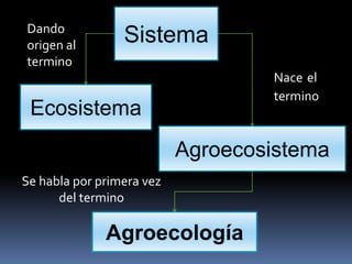 Sistema
Ecosistema
Agroecosistema
Agroecología
Dando
origen al
termino
Nace el
termino
Se habla por primera vez
del termino
 
