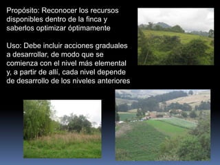 Propósito: Reconocer los recursos
disponibles dentro de la finca y
saberlos optimizar óptimamente
Uso: Debe incluir acciones graduales
a desarrollar, de modo que se
comienza con el nivel más elemental
y, a partir de allí, cada nivel depende
de desarrollo de los niveles anteriores
 