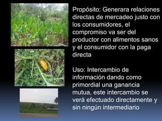 Propósito: Generara relaciones
directas de mercadeo justo con
los consumidores, el
compromiso va ser del
productor con alimentos sanos
y el consumidor con la paga
directa
Uso: Intercambio de
información dando como
primordial una ganancia
mutua, este intercambio se
verá efectuado directamente y
sin ningún intermediario
 