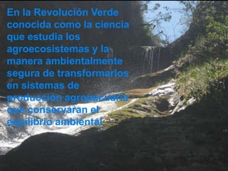En la Revolución Verde
conocida como la ciencia
que estudia los
agroecosistemas y la
manera ambientalmente
segura de transformarlos
en sistemas de
producción agropecuaria
que conservaran el
equilibrio ambiental
 