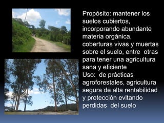 Propósito: mantener los
suelos cubiertos,
incorporando abundante
materia orgánica,
coberturas vivas y muertas
sobre el suelo, entre otras
para tener una agricultura
sana y eficiente
Uso: de prácticas
agroforestales, agricultura
segura de alta rentabilidad
y protección evitando
perdidas del suelo
 