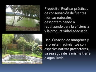 Propósito: Realizar prácticas
de conservación de fuentes
hídricas naturales,
descontaminando o
reutilizando para la eficiencia
y la productividad adecuada
Uso: Creación de márgenes y
reforestar nacimientos con
especies nativas protectoras,
ya sea agua de la misma tierra
o agua lluvia
 