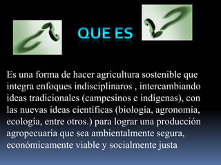 Es una forma de hacer agricultura sostenible que
integra enfoques indisciplinaros , intercambiando
ideas tradicionales (campesinos e indígenas), con
las nuevas ideas científicas (biología, agronomía,
ecología, entre otros.) para lograr una producción
agropecuaria que sea ambientalmente segura,
económicamente viable y socialmente justa
 